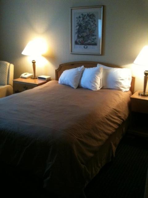 Carol Hotel Omaha Room photo